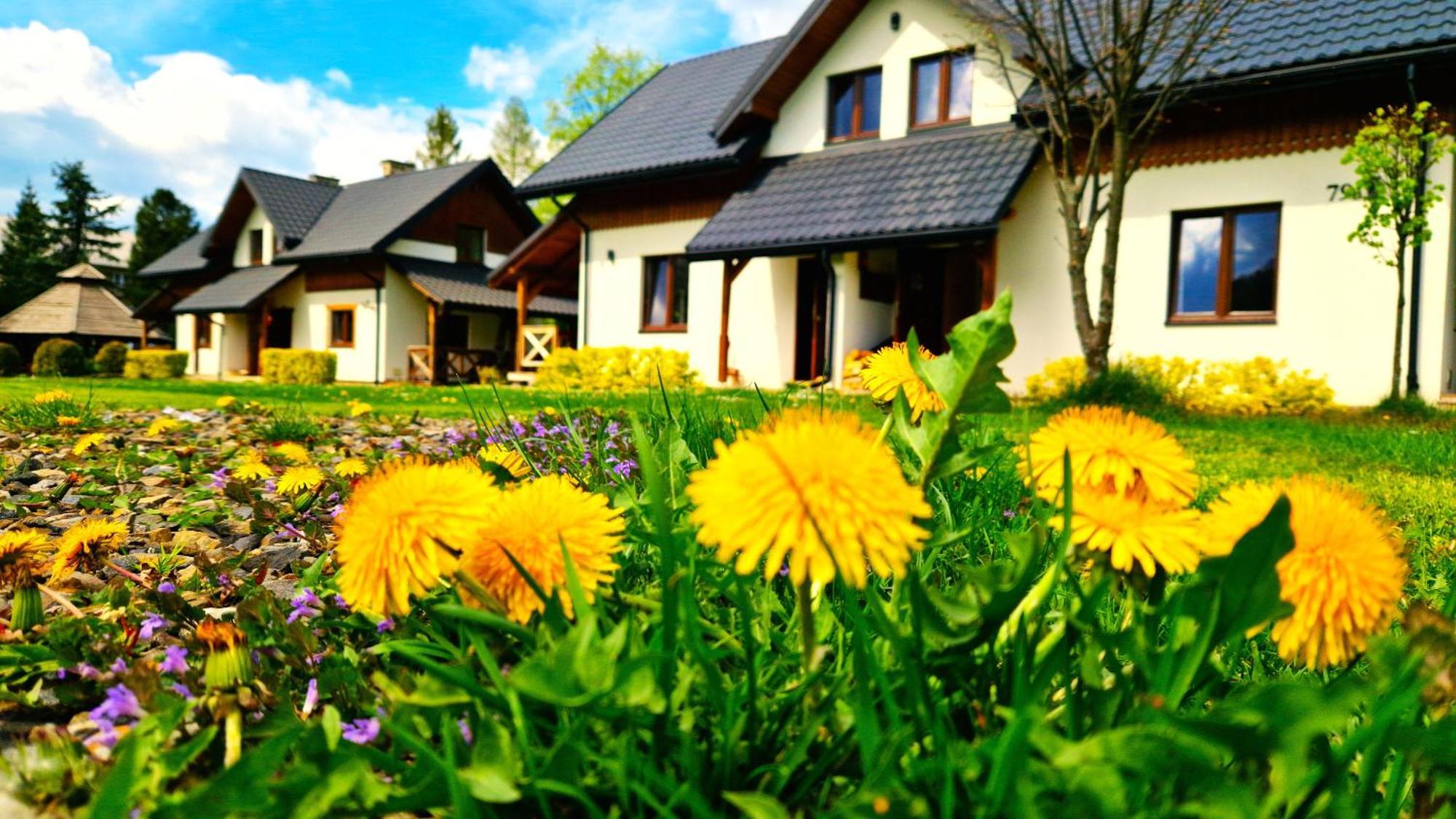 Apartment Gajowego W Bieszczadach