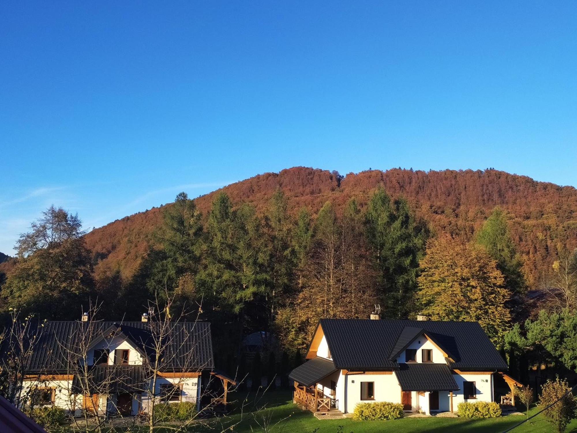Apartment Gajowego W Bieszczadach